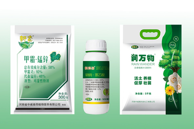 春季綠化工程樹(shù)木養(yǎng)護(hù)與大樹(shù)移栽成活率提升策略