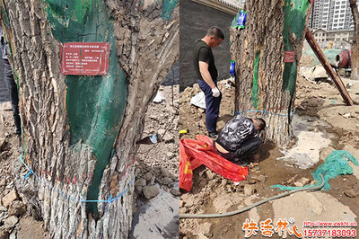 綠化工程中樹(shù)木營(yíng)養(yǎng)液的購(gòu)買(mǎi)渠道與注意事項(xiàng)