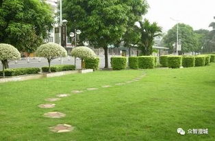 江陰市出臺(tái)新規(guī) 信用評價(jià)納入園林綠化工程招投標(biāo)核心指標(biāo)